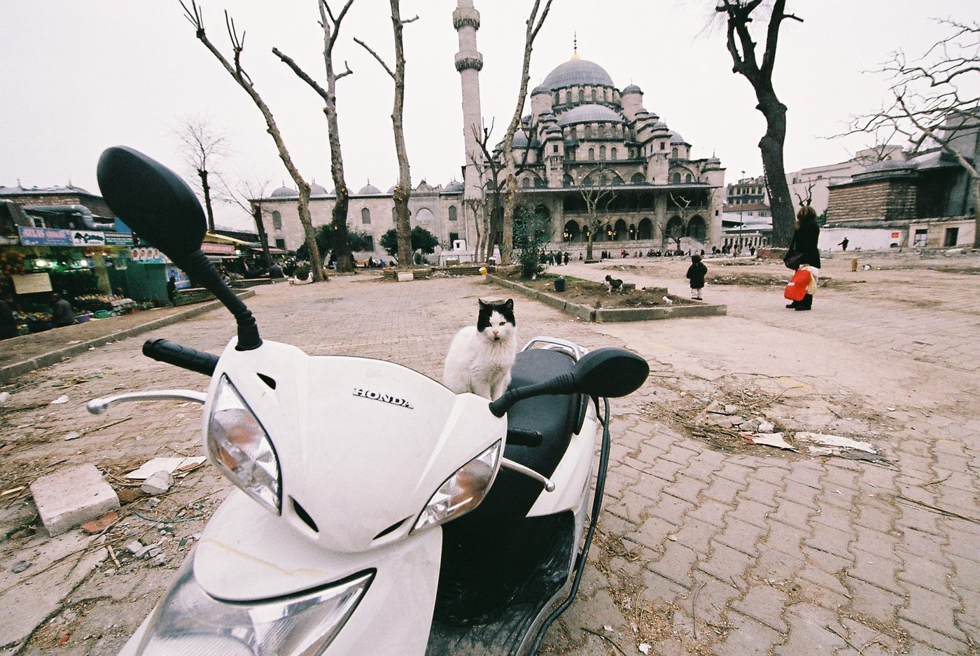 Around the World